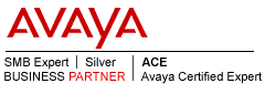 Avaya ACE SMB Silver
